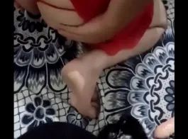 فد يو سكس صني